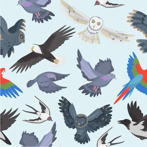Farkaséhes madarak zökkenőmentes minta, vektor illusztráció. Baglyok, sas, papagáj és holló galambokkal. Reális rajzfilmfigurák. Ragadozó erdei madarak. — Stock Vector