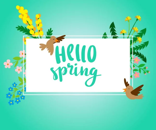 Bannière carré Hello Spring avec fleurs printanières et illustration vectorielle oiseaux. Carte pour la saison printanière avec cadre blanc, oiseaux et herbes . — Image vectorielle