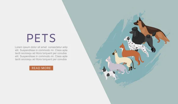 Husdjur handla web banner med olika hundar och katter, sällskapsdjur butik eller veterinärtjänst och mat vektor illustration. — Stock vektor