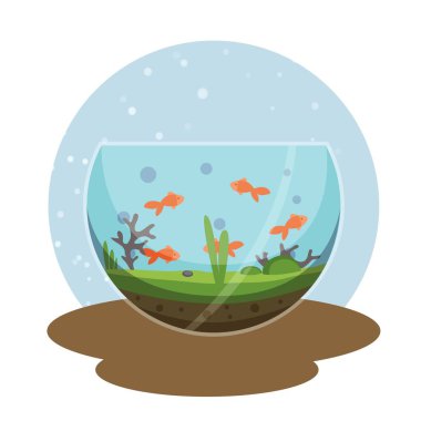 Transparent aquarium with golden fish vector illustration isolated on white. Fish aquarian house underwater tank bowl. Home aquarium system with water and plants.