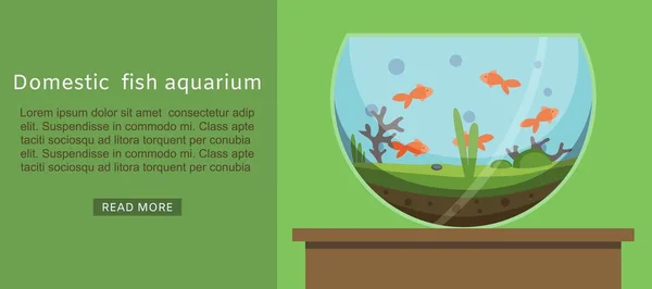 Belföldi hal akvárium arany hal vektor illusztráció. Hal vízi ház víz alatti tartály tál. Home Akvárium rendszer vízzel és növényekkel banner kisállat bolt. — Stock Vector