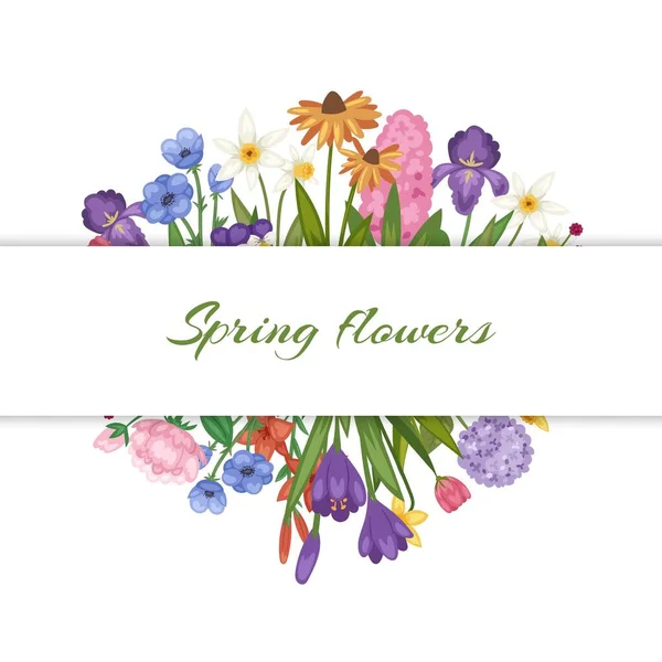 Frühlingsblumen, florale Karte mit Gartenblumen botanische Vektorillustration. — Stockvektor