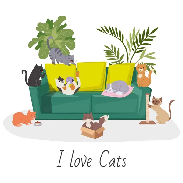 Cute cats, home pets cartoon vector illustration. Interior of the living room with plants and cats and kitten on cozy sofa. Home pets and i love cats quote. — Stock Vector