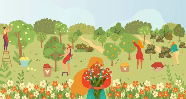 Cuidado del jardín, jardinería, personas y frutas en los árboles en la cosecha de verano ilustración vector de dibujos animados, jardineros recogiendo frutas . — Archivo Imágenes Vectoriales
