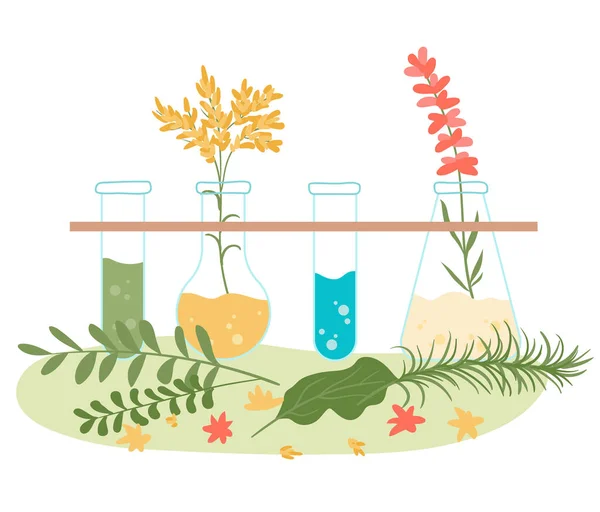 Homeopatía y tratamiento herbal natural, colección de extractos de hierbas naturopáticas de salud aislados en la ilustración de vectores planos blancos . — Archivo Imágenes Vectoriales
