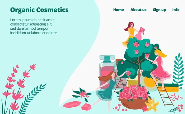 Plantas naturales para cosméticos orgánicos y perfumes para niñas, página web de la industria de la belleza ilustración plana vector de dibujos animados . — Archivo Imágenes Vectoriales