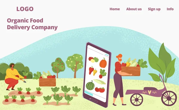 Web app para entrega de alimentos orgânicos, legumes naturais saudáveis e frutas para vegeterians página web ilustração vetorial plana . —  Vetores de Stock