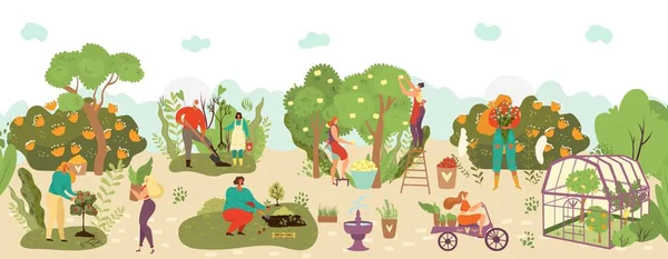 La gente en el jardín cosecha frutas cultivo y agricultura agricultura plana vector ilustración, agricultores cosecha otoño frutas, plantas . — Archivo Imágenes Vectoriales