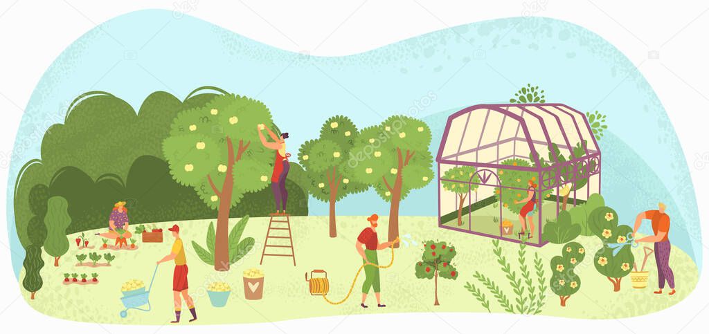 Garden care people gardening, harvesting and caring for trees, plants in plant-house and flowers gardeners flat vector illustration.