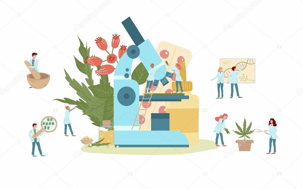 Naturophapy and medicine, natural medicines and tablets of medicinal plant extracts, doctors, microscope flat vector illustration.