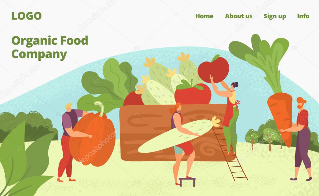 Organic farm healthy food delivery, vegans and vegeterians web page flat vector illustration, tiny people.