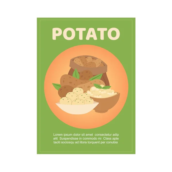 Organic potato for farm eco market healthy food with mashed boiled potatoes vector illustration. — Stock Vector