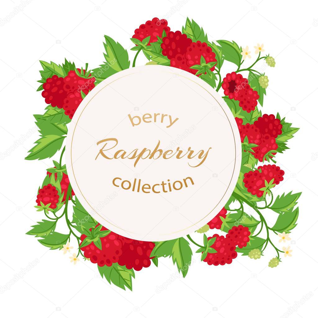 Raspberries berries and leaves circle banner with typography isolated on white cartoon vector illustration.