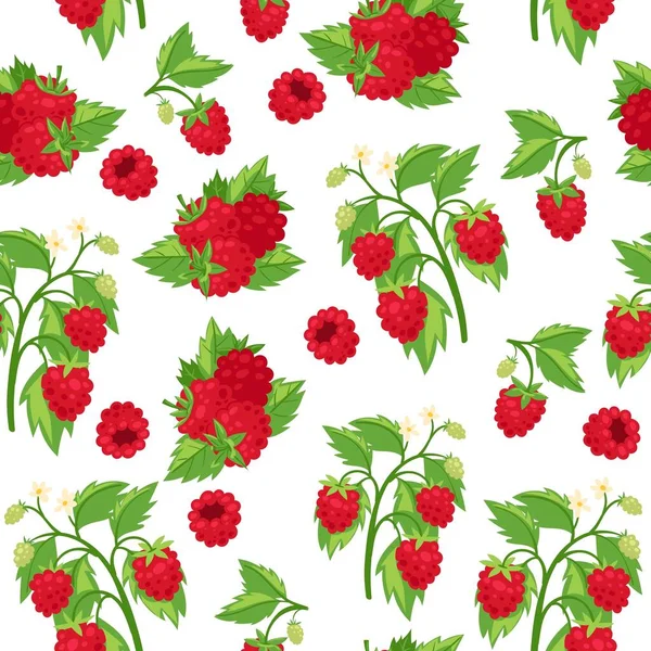 Framboesas frutas vermelhas frescas e folhas isoladas no fundo branco desenho animado sem costura vetor padrão ilustração . —  Vetores de Stock