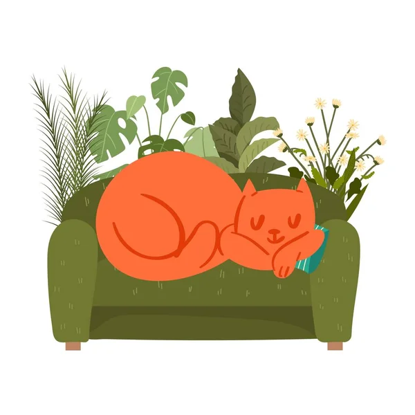 Sofá com gato dormindo relaxar em casa, animal de estimação bonito desenhos animados domésticos isolados na ilustração do vetor branco . — Vetor de Stock