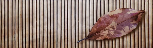 Hoja de otoño de camuflaje y bambú — Foto de Stock