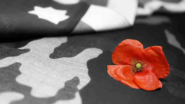 Pamětní den. Maková květina na Mimetickém pozadí vlajka USA. — Stock fotografie
