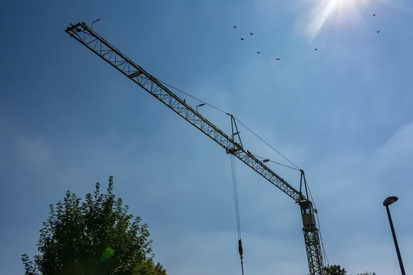 Small White Crane Frame Blue Sky Daylight Construction Industry