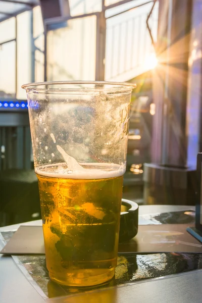 Warm Sunset Plastic Cup Beer Golden Liquid Alcoholic Bar