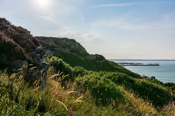 Howth Harbor Daytime Landscape Cliffside Nature Ireland — Stock Photo, Image