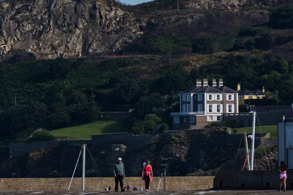 Christ Church blå timme lång exponering ljus streck Dublin Irland — Stockfoto