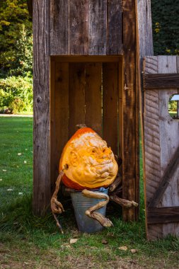 Kabak korkunç komik surat ifade komedi Cadılar Bayramı tatil