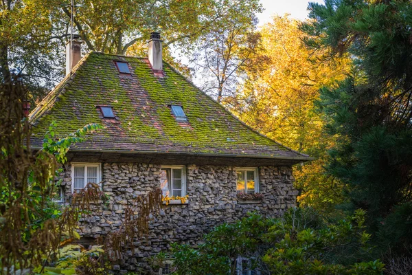 Büyük eski taş ev orman fantezi peri masalı Almanca orman Wo — Stok fotoğraf