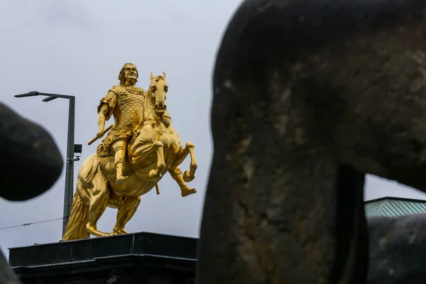 Dresde Golden Rider Monumento al aire libre en invierno Weathe nublado — Foto de Stock