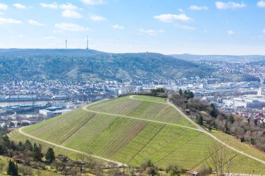 Stuttgart manzara Almanya Tv Kulesi üzüm bağları güzel mavi Sk