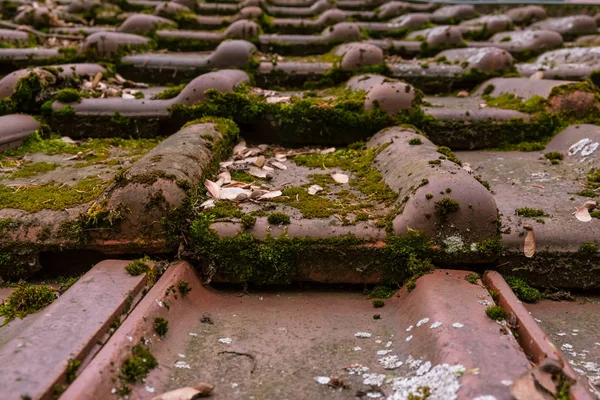 Telhas de telhado de barro europeu alemão musgo sujo velho galpão Top Close — Fotografia de Stock
