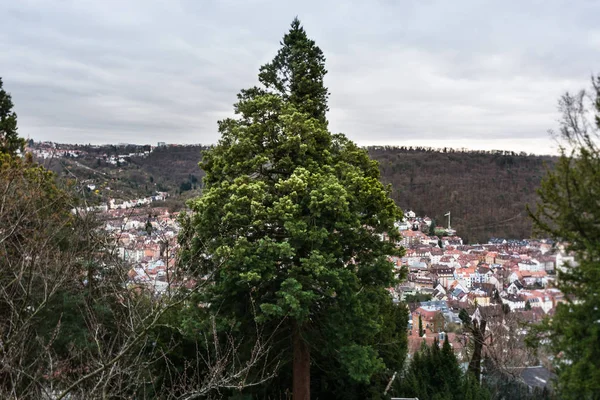 Dramatické strom město zatažená krajina Stuttgart Blauer Weg zobrazení — Stock fotografie