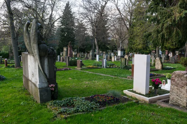 유럽 묘지 붐비는 다시 녹색 식물 나무 야외 교회 — 스톡 사진