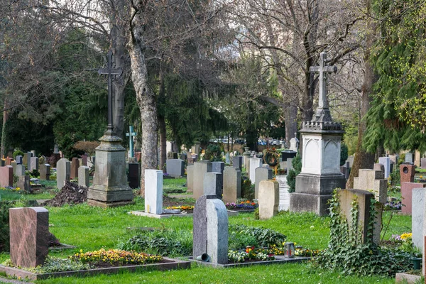유럽 묘지 붐비는 다시 녹색 식물 나무 야외 교회 — 스톡 사진