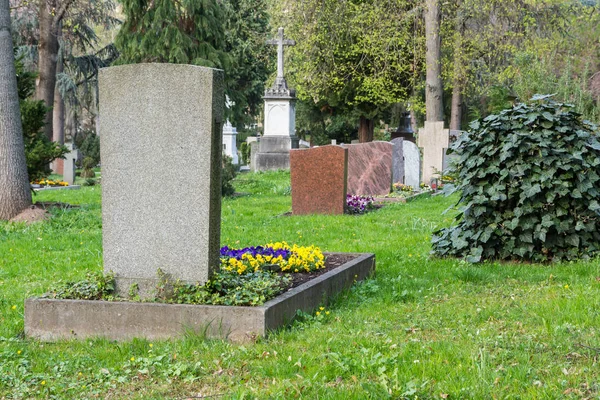 European Graveyard Crowded Green Plants Árvores ao ar livre Igreja Re — Fotografia de Stock