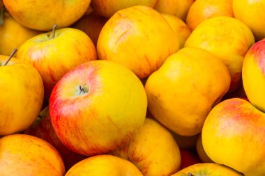 Apple Buch sarı kırmızı piyasa satış sandık Closeup makro