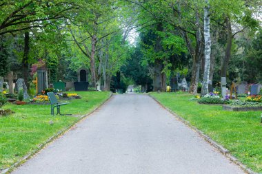 Pragfriedhof iç alan mezarlık öğle Perşembe bahar 2017 Wal