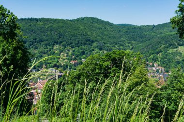 Heidelberg View over Baden-Wuerttemberg Neckar River 