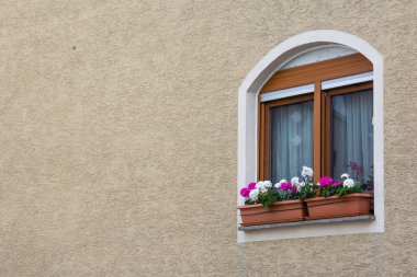 Stucco Wall 'daki Şirin Avrupa Penceresi 