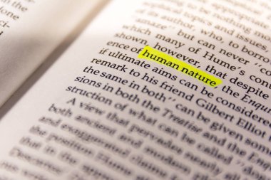 Book Highlighted Word  with Yellow Fluorescent Marker -   Nature