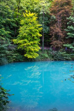 Blaubeuren Blautopf Blue Water.  Tourist Destination, Germany 
