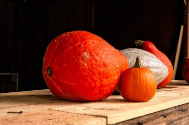 Small and Large Pumpkins,  Autumn  Decoration