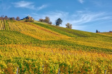 Stuttgart Germany Grabkapelle Vineyards  in Autumn Season.  Beautiful Landscape
