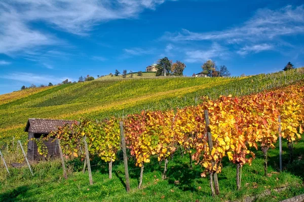 Stuttgart Germany Grabkapelle Vineyards Autumn Season Beautiful Landscape — Zdjęcie stockowe