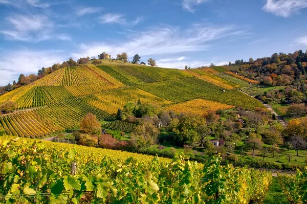 Stuttgart Germany Grabkapelle Vineyards  in Autumn Season.  Beautiful Landscape
