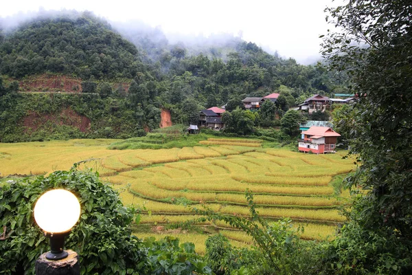 Terrazze di risaie a bandong maelanoi, provincia di maehongson, Thailandia . — Foto Stock