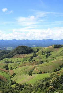 Yeşil arazi fıstık fasulye yetiştirilen tepe kabile Maelanoi bölgesi, Maehongson bölgesi, Kuzey Tayland mavi gökyüzü ile tarafından.
