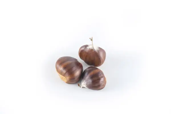 Chestnut (marron) pada latar belakang putih — Stok Foto