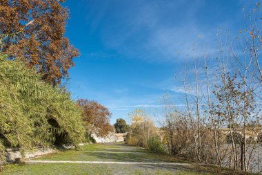 Roma (İtalya) - Tiber Nehri ve Milvio Köprüsü