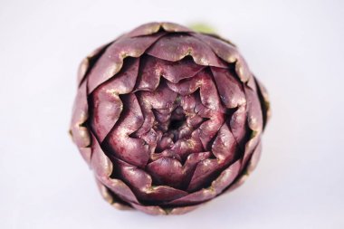 Beyaz arka planda, Carciofi Roma Artichoke (Cynara scolymus) 