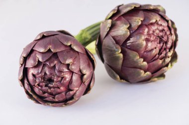 Beyaz arka planda, Carciofi Roma Artichoke (Cynara scolymus) 